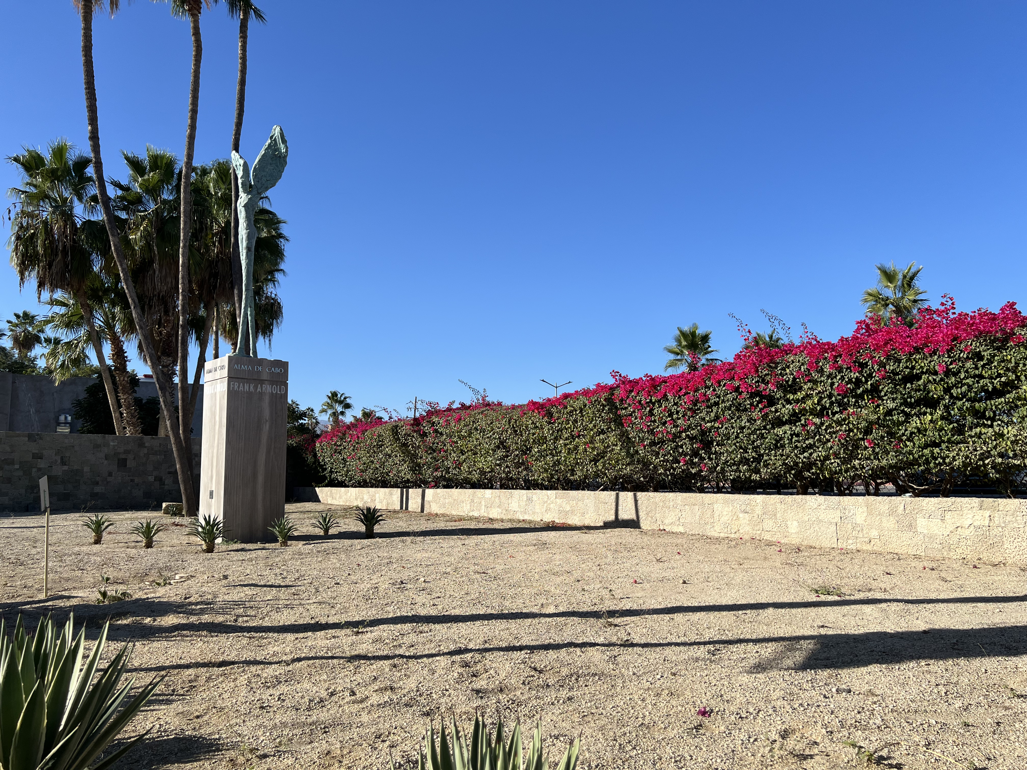 ./2024/13 - Cabo/IMG_4576.jpg